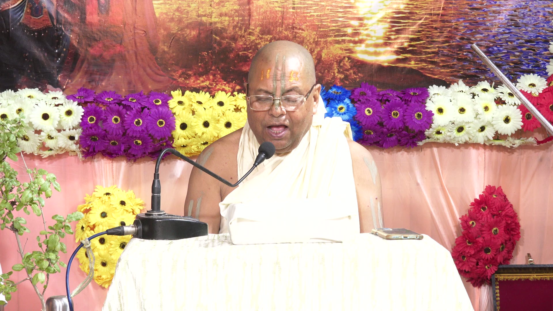 Jhulan Purnima celebrations at Narahari Dham - image 5